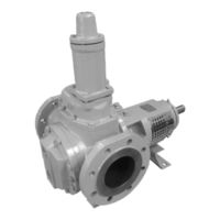 Johnson Pump SPXFLOW TopGear TG GS185-125 Manuel D'instructions