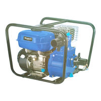 Einhell BG-PW 48 Mode D'emploi D'origine
