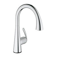 Grohe LadyluxTouch 30 205 Manuel D'installation