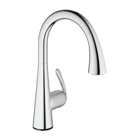 Grohe LadyluxTouch 30 205 Manuel D'installation