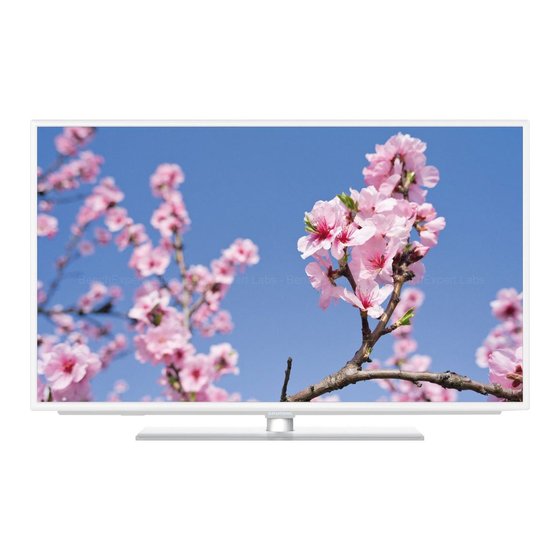 Grundig 32 VLE 7321 WL Mode D'emploi