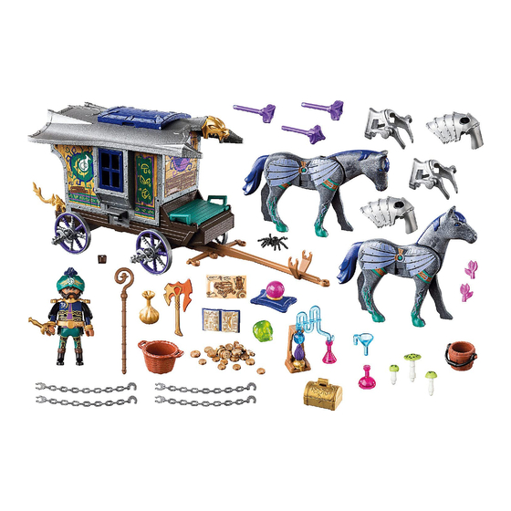 PLAYMOBIL NOVELMORE 70903 Manuels