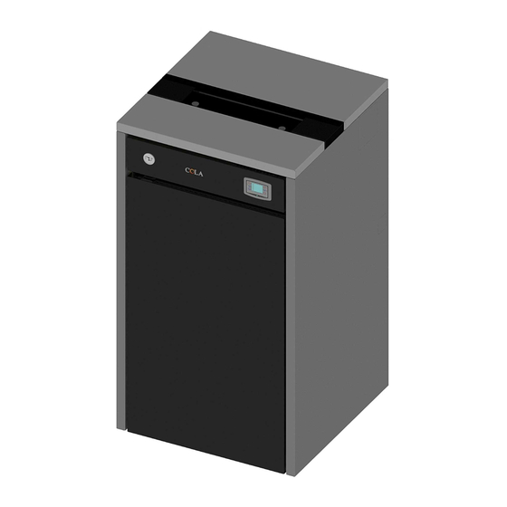 Cola DOMUSFIRE C29 Manuel D'installation, D'utilisation Et D'entretien