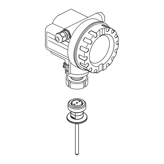 Endress+Hauser Levelflex M FMP43 Manuel De Mise En Service