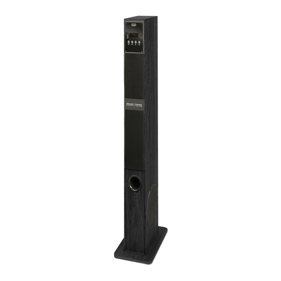 Trevi XT 108 BT Mode D'emploi Et Branchement
