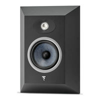 Focal THEVA CENTER Manuel D'utilisation