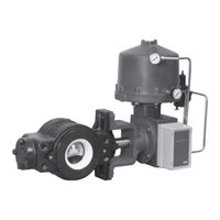 Emerson Fisher V250 Manuel D'instructions
