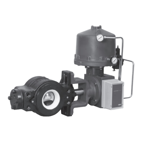 Emerson Fisher V250 Manuel D'instructions