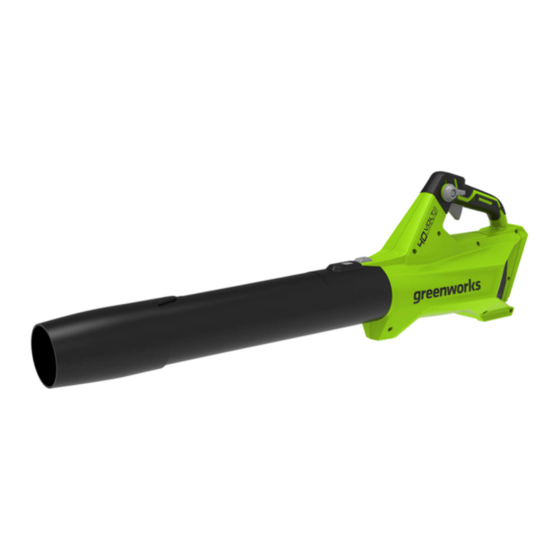 GreenWorks BLF346 Manuel D'opérateur