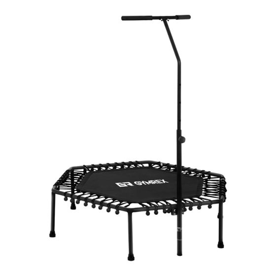 Gymrex GR-HT110R Manuel D'utilisation