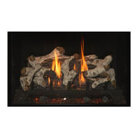 Kozy Heat Fireplaces BHM-38-BW Manuel D'installation Et D'utilisation