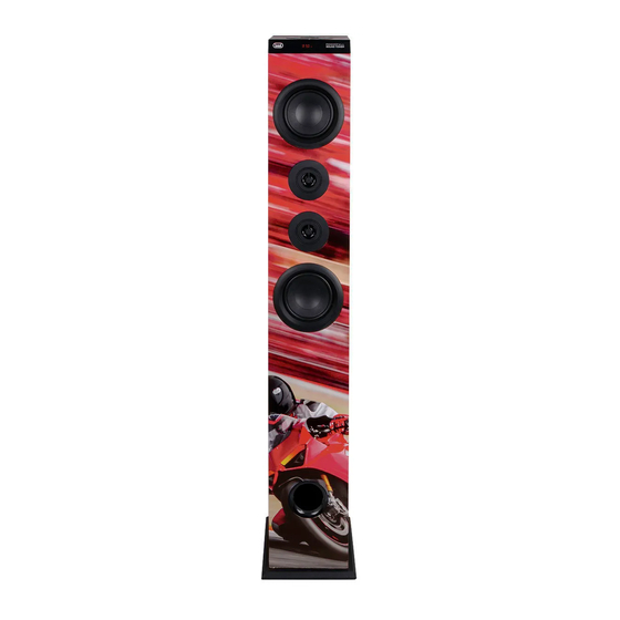 Trevi XT 104 BT Mode D'emploi Et Branchement