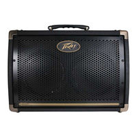 Peavey Ecoustic Serie Mode D'emploi