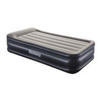 Bestway Sidewinder P3042 Manuel De L'utilisateur