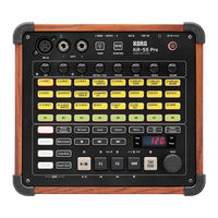 Korg KR-55 Pro Manuel D'utilisation