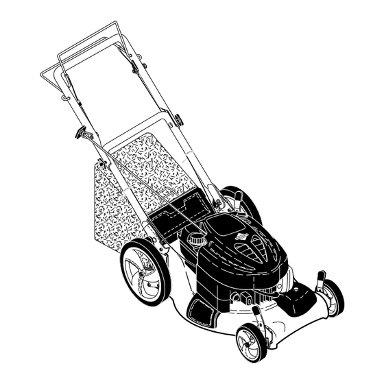 McCulloch M53-625DW Manuel D'instructions