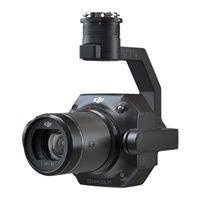 dji ZENMUSE P1 Guide De Démarrage Rapide