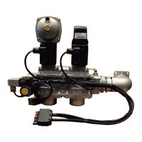 Ecoflam GT-S1-VGD20-RP50-BLU/MULTI Mode D'emploi