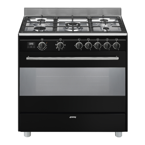 Smeg BG91CTN2 Manuel D'utilisation