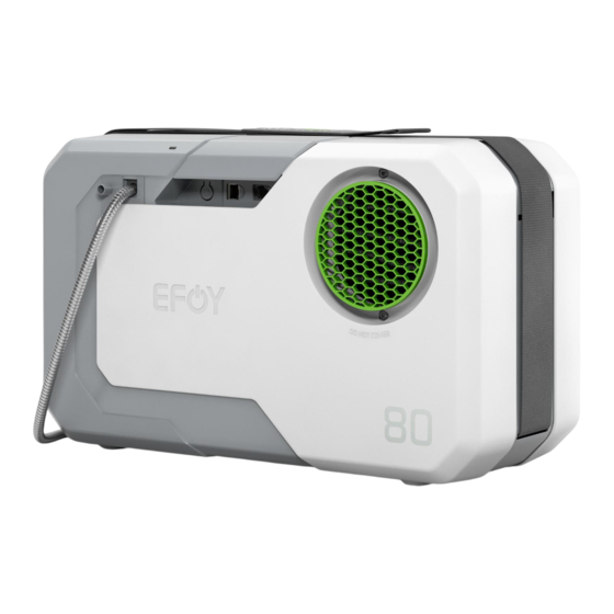 SFC Energy EFOY 80 Mode D'emploi
