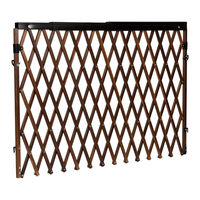 Evenflo Expansion Swing Instructions