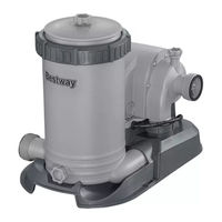 Bestway FLOWCLEAR 58391 Manuel Du Propriétaire