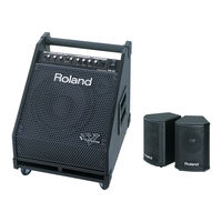 Roland PM-30 Mode D'emploi