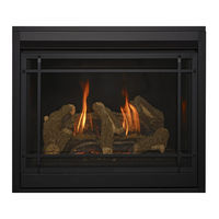 Kozy Heat Fireplaces SP-34-MV Manuel D'installation Et D'utilisation