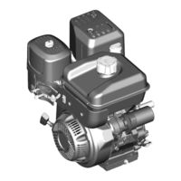 Briggs & Stratton 250000 Manuel D'utilisation