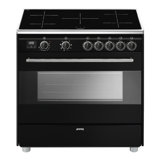 Smeg BG91IN9-1 Manuel D'utilisation