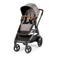 Peg-Perego agio Z4 Bassinet Notice D'emploi