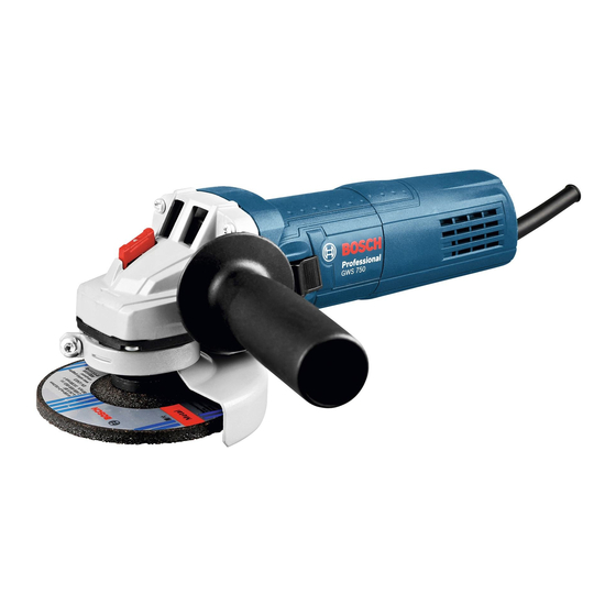 Bosch GWS 750-100 S Professional Notice Originale