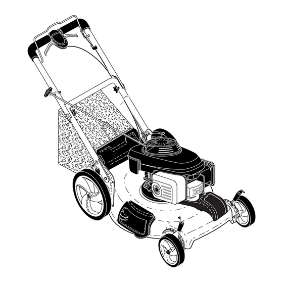 McCulloch M56-190DWA Manuel D'instructions