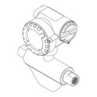 Endress+Hauser CNGmass Manuel De Mise En Service