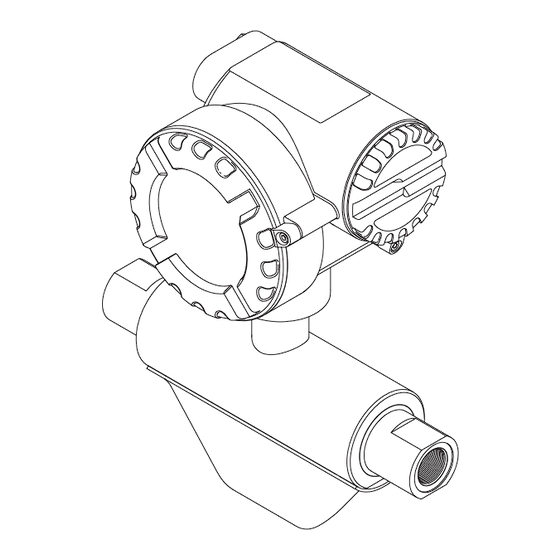 Endress+Hauser CNGmass Manuel De Mise En Service