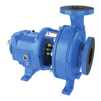 Goulds Pumps 3196 i-FRAME Manuel D'installation, D'utilisation Et D'entretien