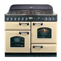 Falcon Professional 110 Instructions D'utilisation Et D'installation