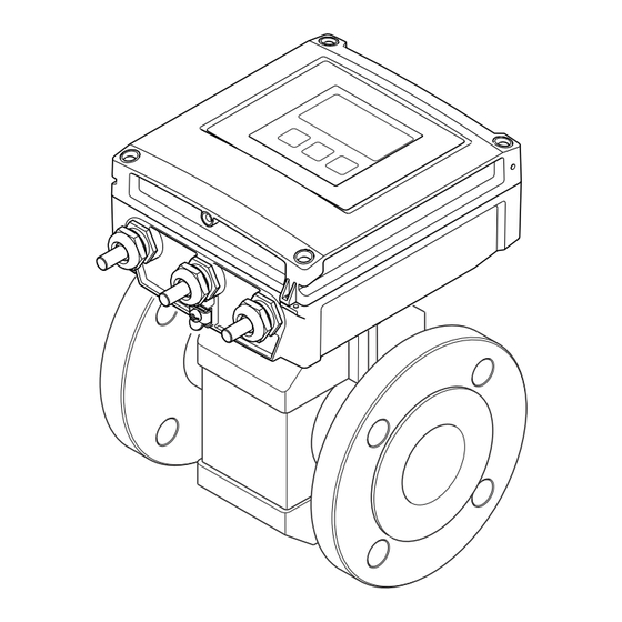 Endress+Hauser Proline Promag W 400 Instructions Condensées