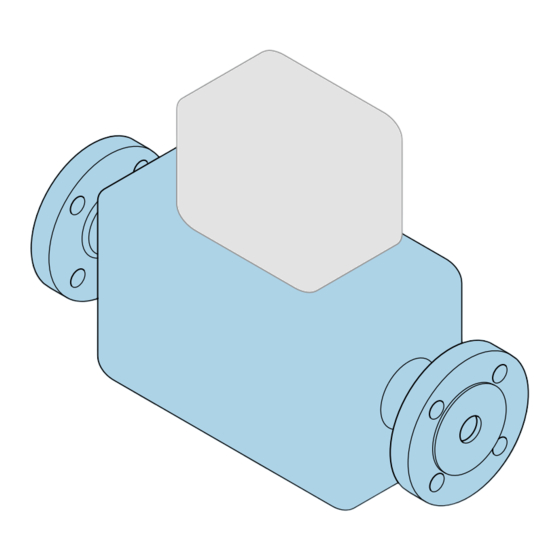 Endress+Hauser Proline t-mass I Instructions Condensées