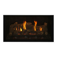 Kozy Heat Fireplaces KZK-045 Manuel