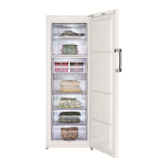 Beko FS 127320 Mode D'emploi