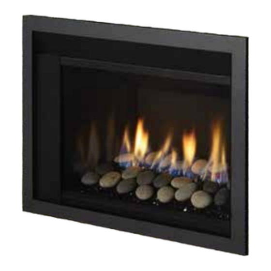 Regency Fireplace Products LRI3E-NG1 Manuels