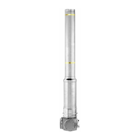 Endress+Hauser Gammapilot M FMG60 Information Technique