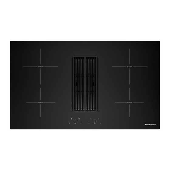Blaupunkt 5IX90291 Notice D'utilisation
