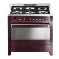 Smeg CS19RW-7 Manuel D'utilisation