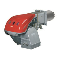 Riello RS 25/M BLU Instructions Pour Installation, Utilisation Et Entretien