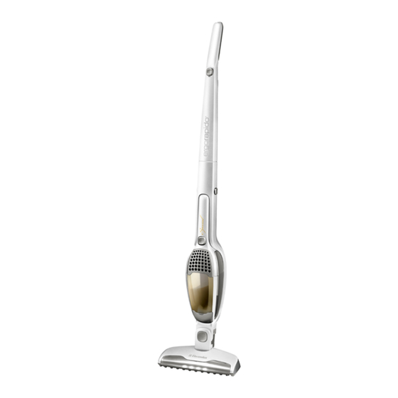 Electrolux ergorapido ZB2908W Mode D'emploi