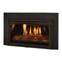 Kozy Heat Fireplaces CSK-34-L Manuel D'installation & D'utilisation