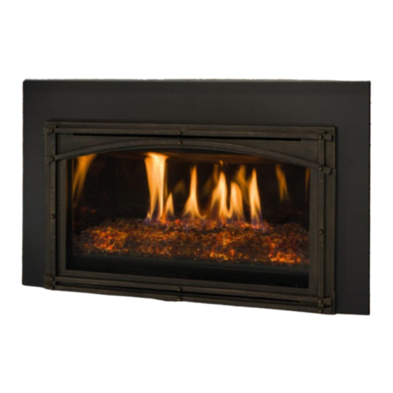 Kozy Heat Fireplaces CHASKA 29 G Manuels