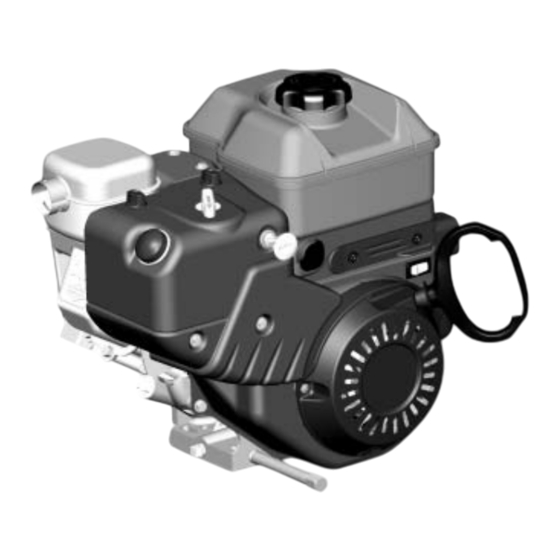 Briggs & Stratton 120000 Instructions D'utilisation Et De Maintenance